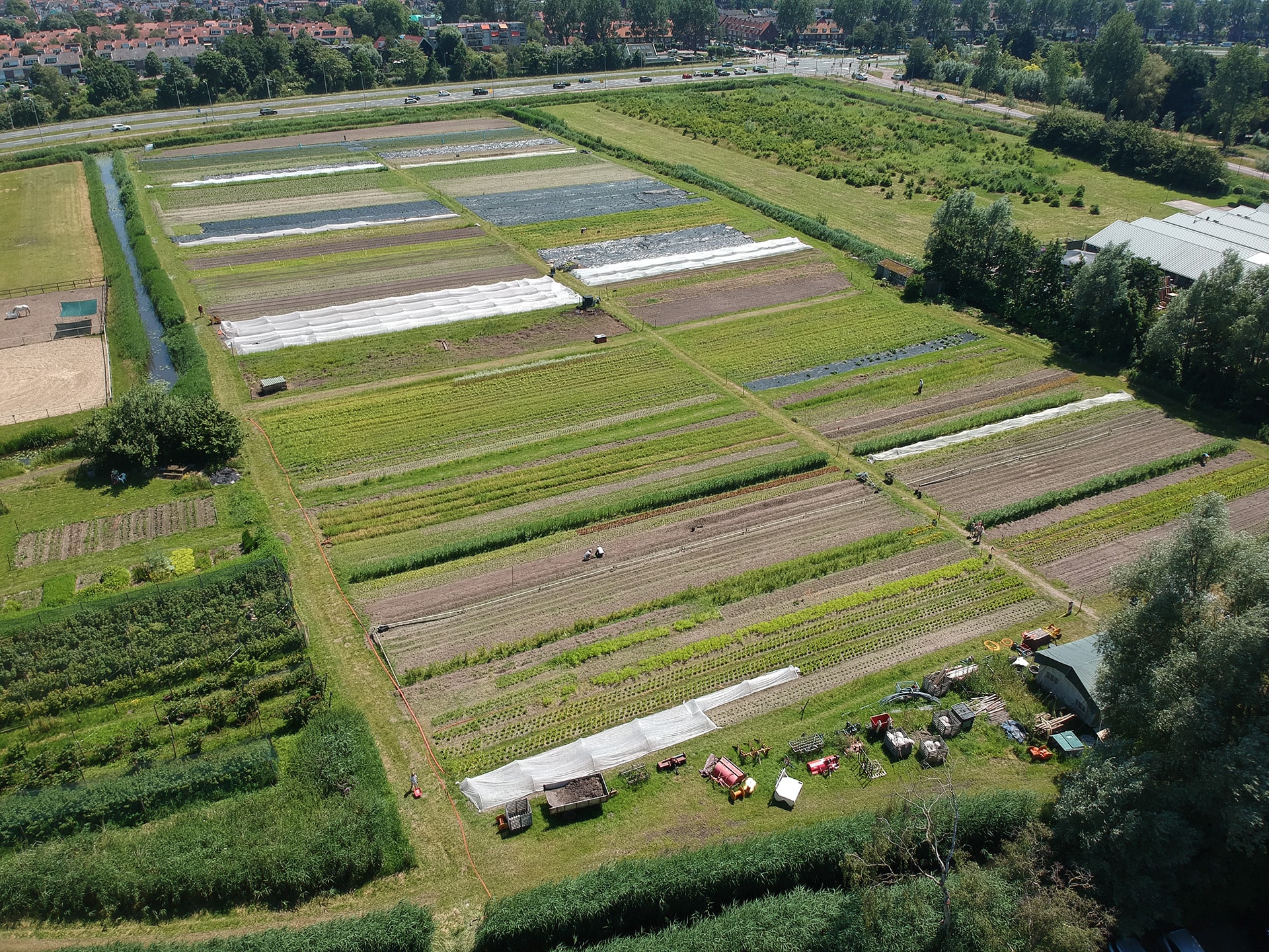 Luchtfoto van Tuinderij Buitenplaats met rijen gewassen